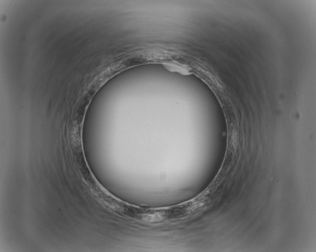 X0000087620411200704271142