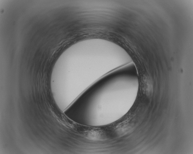 X0000087620412200704271142