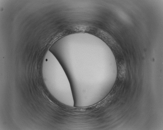 X0000087620414200704271142