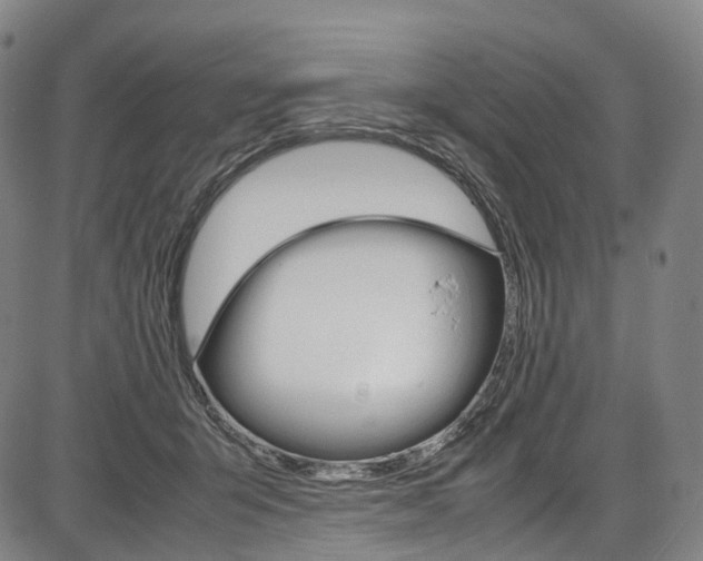 X0000087620415200704271142