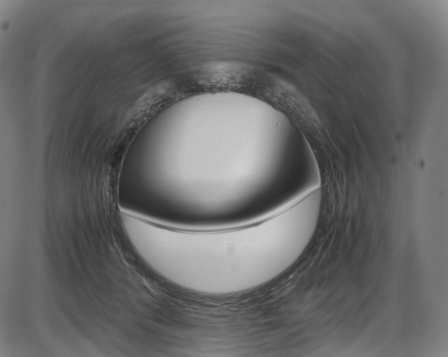 X0000087620416200704271142