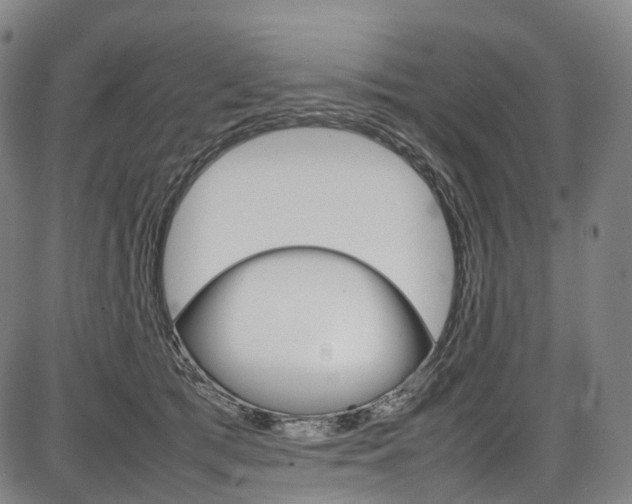 X0000087620417200704271142