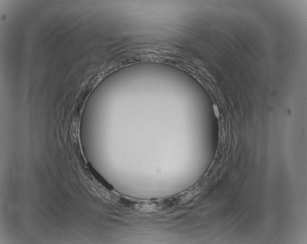 X0000087620419200704271142