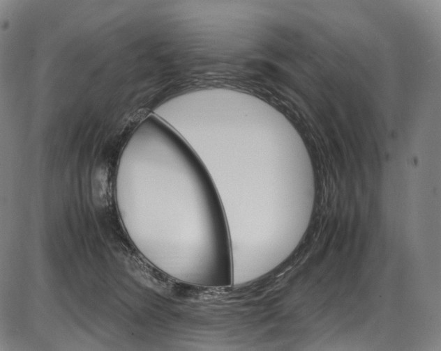 X0000087620420200704271142