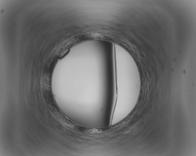 X0000087620421200704271142