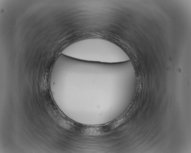 X0000087620422200704271142