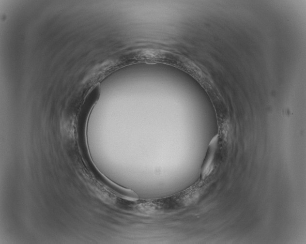 X0000087620423200704271142