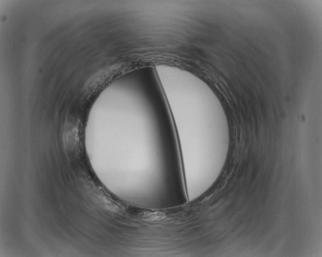 X0000087620424200704271142