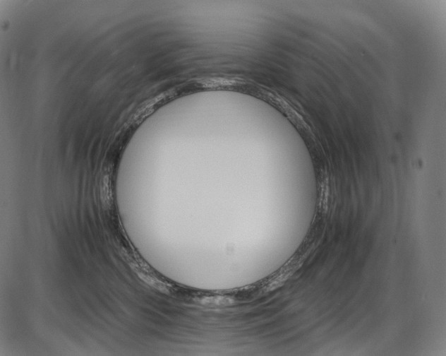 X0000087620426200704271142