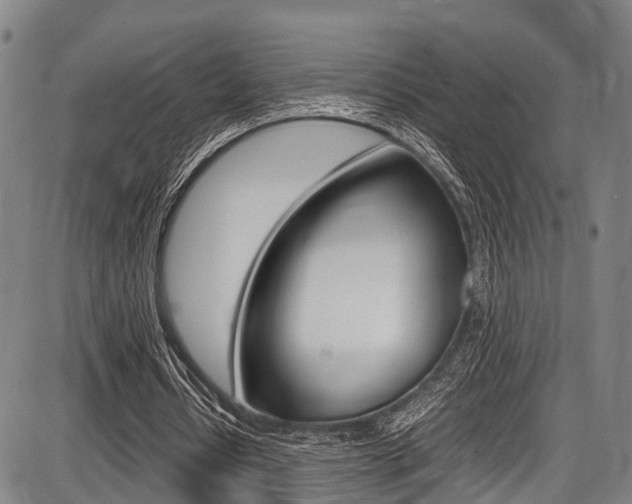 X0000087620434200704271141