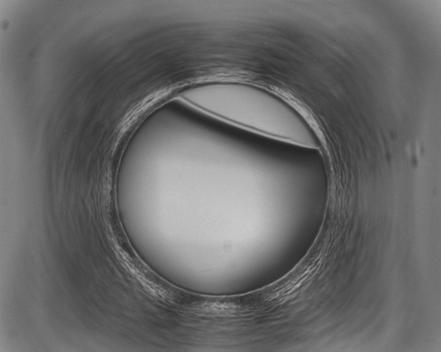 X0000087620437200704271141