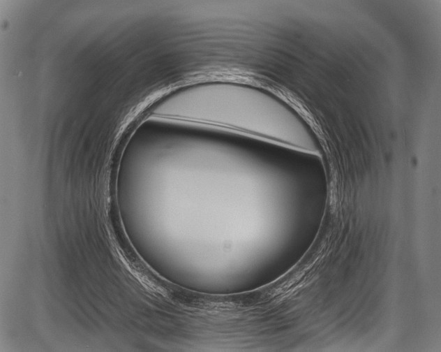 X0000087620438200704271141