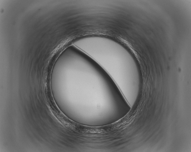 X0000087620443200704271141