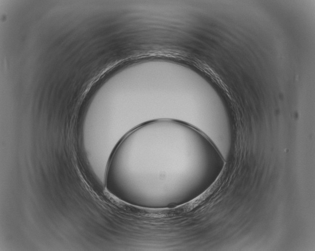 X0000087620444200704271141