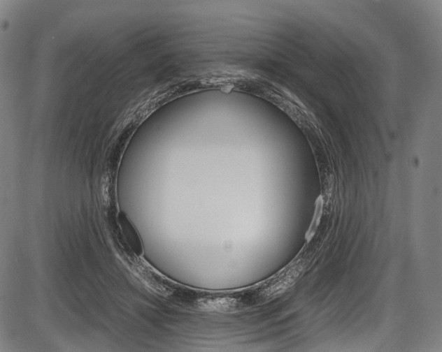 X0000087620452200704271141