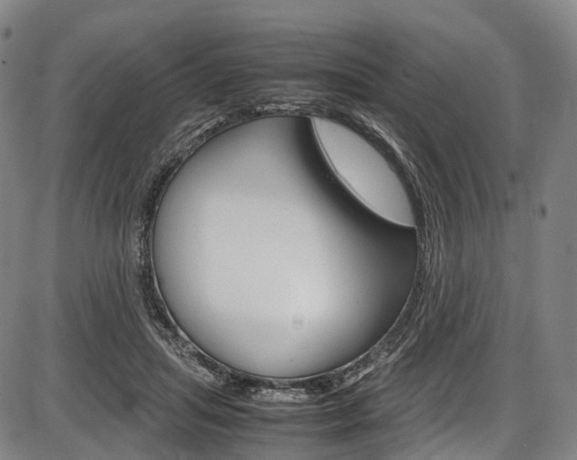 X0000087620455200704271141