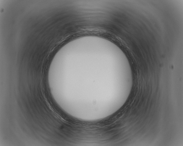X0000087620456200704271141