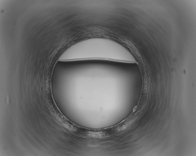X0000087620457200704271141