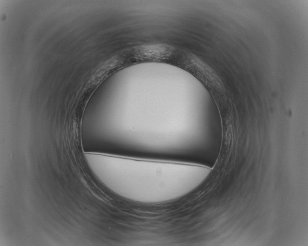 X0000087620459200704271141