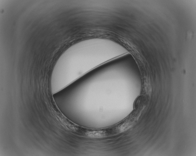 X0000087620461200704271141