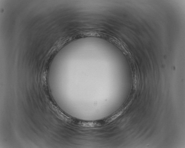 X0000087620473200704271141