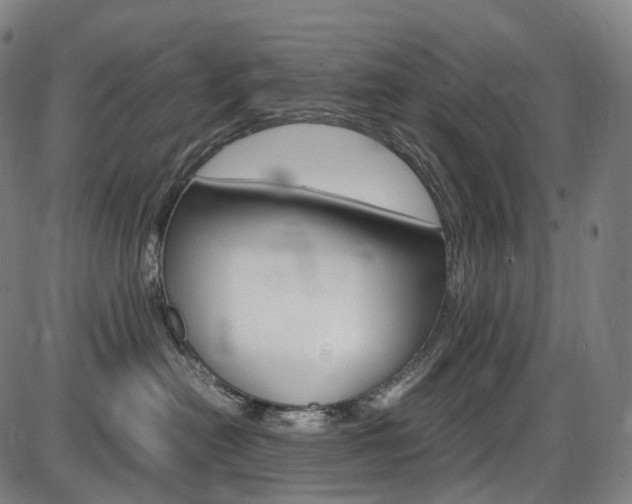 X0000087620478200704271141