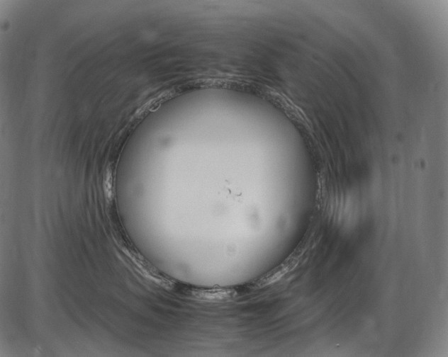 X0000087620479200704271141