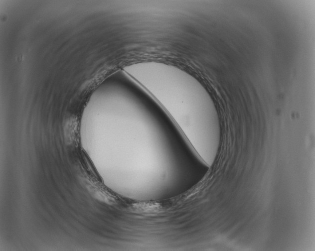 X0000087620480200704271141