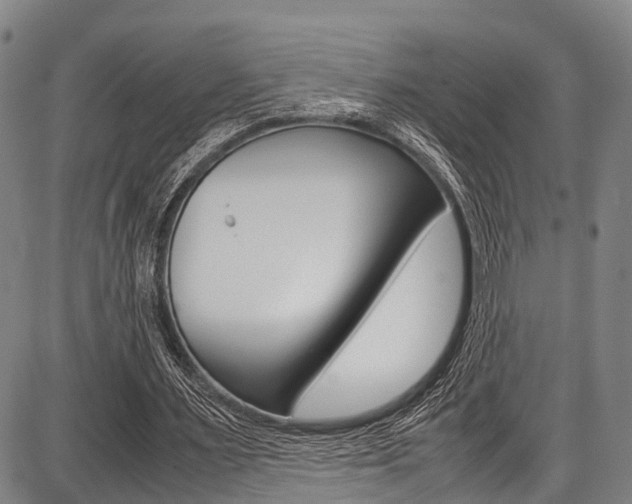 X0000087620483200704271141