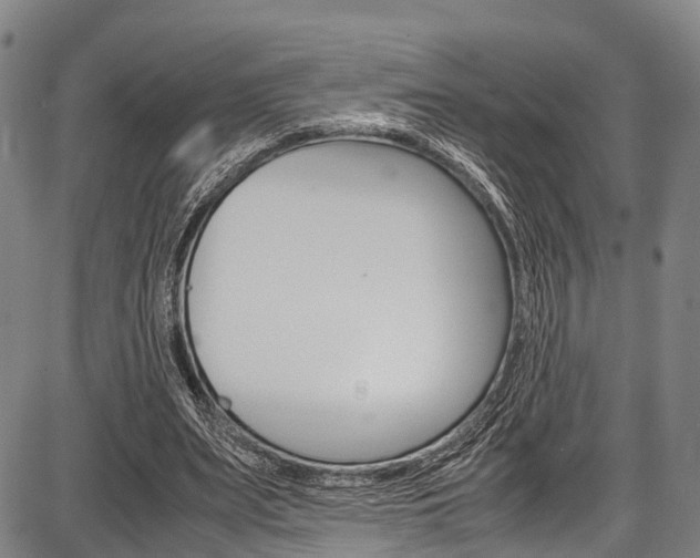 X0000087620487200704271141
