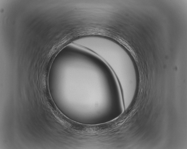 X0000087620489200704271140
