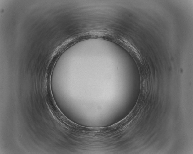 X0000087620492200704271140