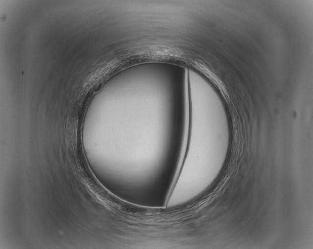 X0000087620493200704271140