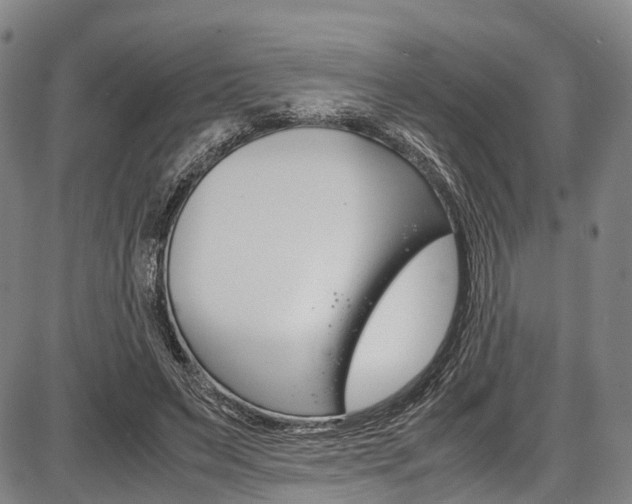 X0000087620495200704271140