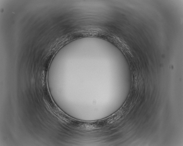 X0000087620498200704271140