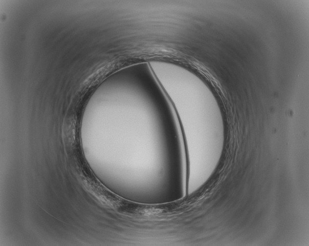 X0000087620501200704271140