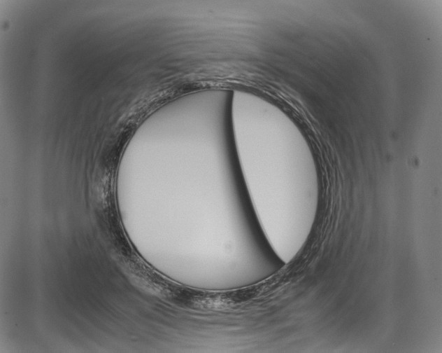 X0000087620503200704271140