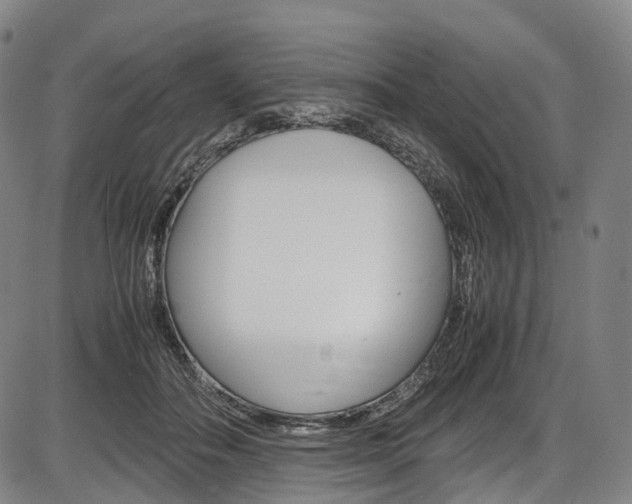 X0000087620506200704271140