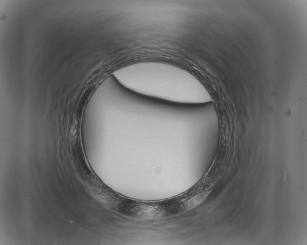 X0000087620507200704271140