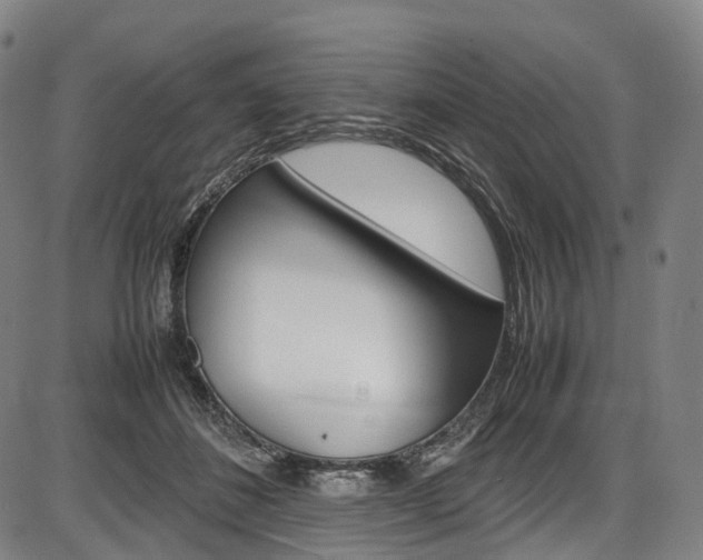X0000087620508200704271140