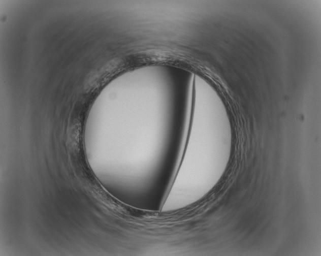 X0000087620509200704271140