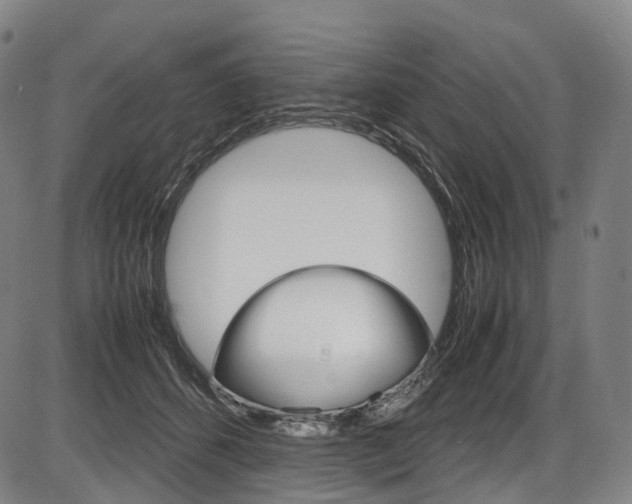X0000087620512200704271140