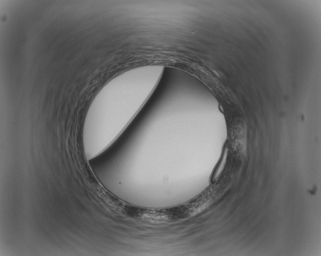 X0000087620515200704271140