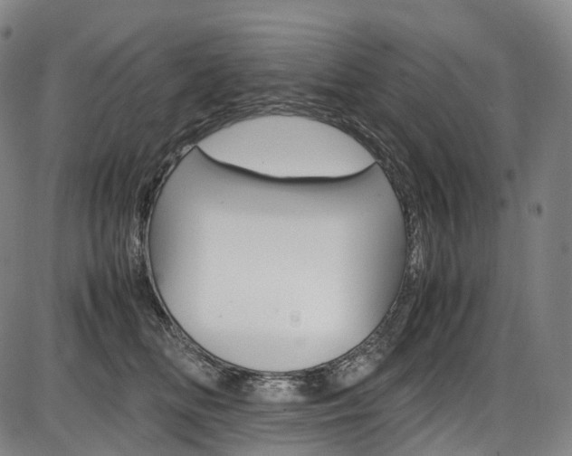 X0000087620518200704271140
