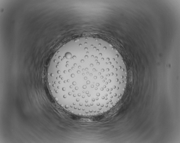 X0000087620519200704271140