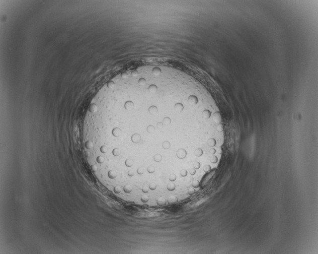 X0000087620523200704271140