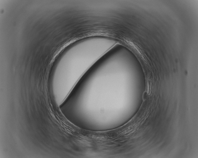 X0000087620531200704271139