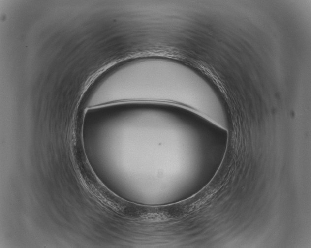 X0000087620536200704271139
