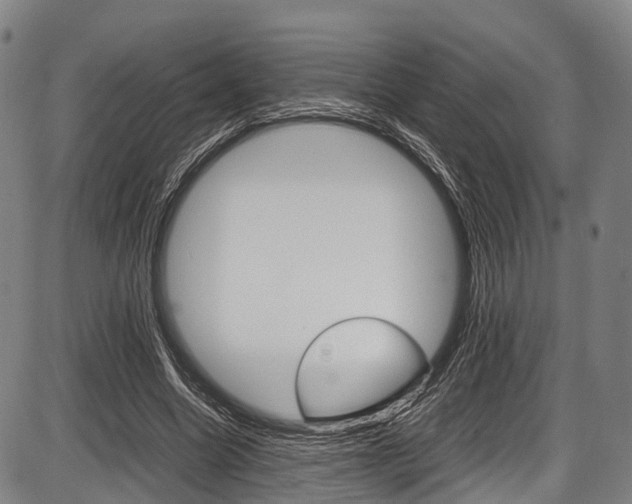 X0000087620538200704271139