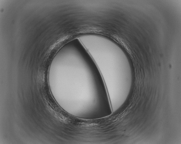 X0000087620539200704271139